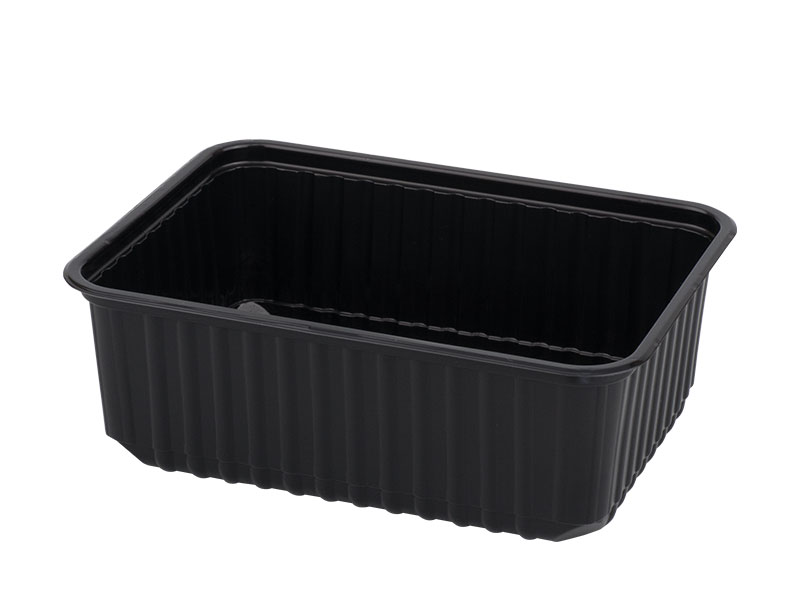 179*132 mm Rectangular PP Container